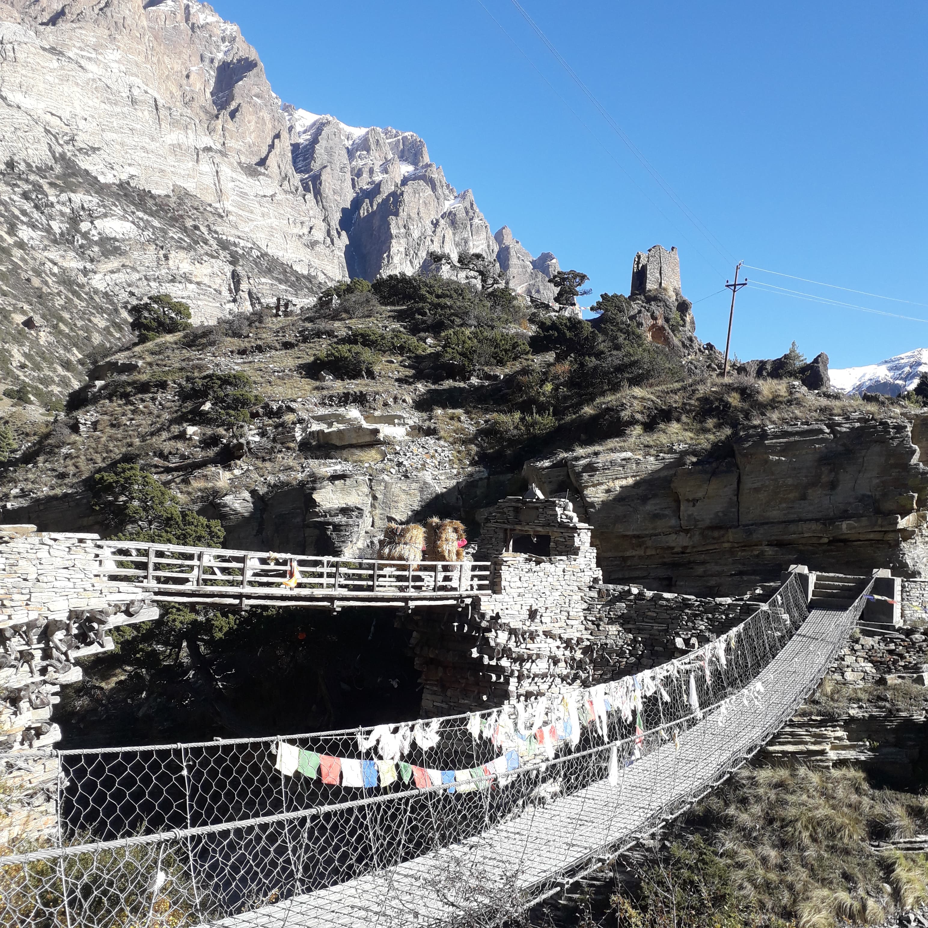 Nar Phu valley kangla pass Trek  2026/2027 gallery